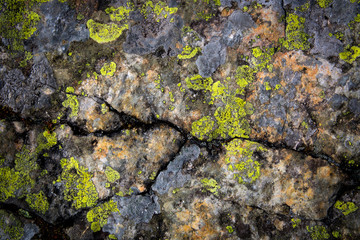 old cracked stone surface