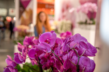 International Flower Exhibition in Moscow in 2016