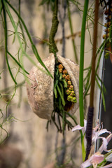 International Flower Exhibition in Moscow in 2016