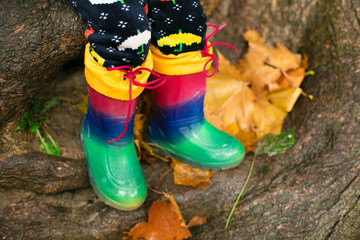 baby in autumn rubber boots standing in the leaves