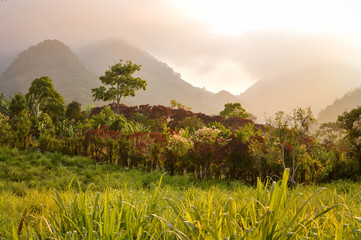 Foggy landscapes surrounding the small village of coffee growers in the highlands of Honduras....