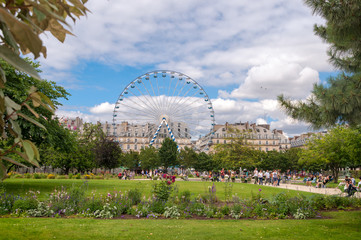 Tuileries garden, Paris