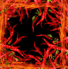 chili isolated on the black