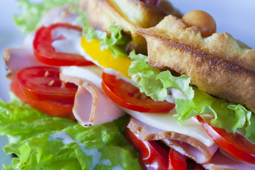 Belgian waffles with ham, tomatoes and herbs close up