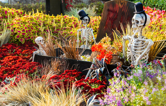 SEOUL, SOUTH KOREA - OCTOBER 25: Halloween party decorations at
