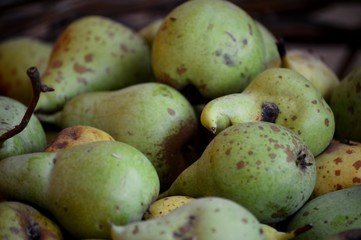 Freash organic pears 