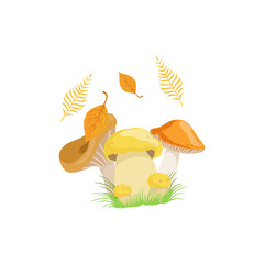 Three Mushrooms As Autumn Attribute