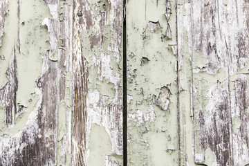 Wood background door