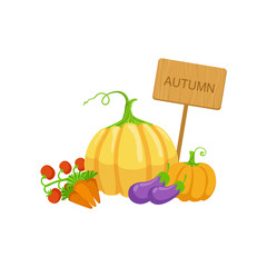 Vegetable Crops As Autumn Attribute