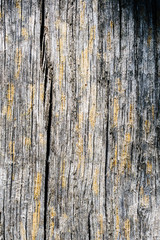 Old dry, weathered boards, covered with lichen.