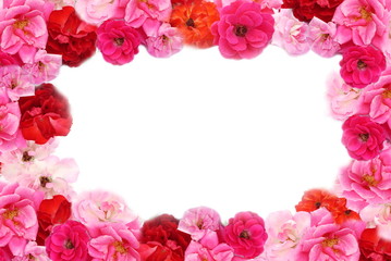 pink and red roses border isolated on white background
