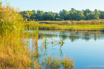 Shore of a lake at sunrise in autumn