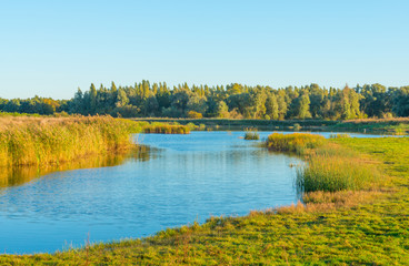 Shore of a lake at sunrise in autumn