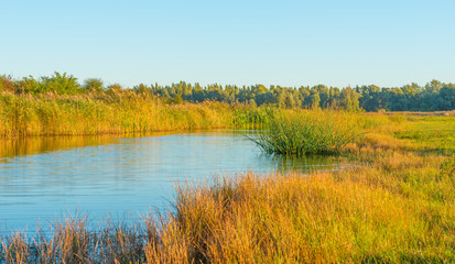 Shore of a lake at sunrise in autumn
