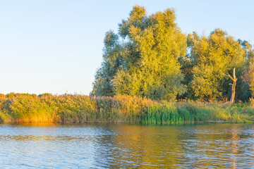 Shore of a lake at sunrise in autumn