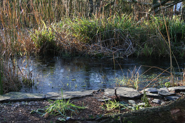 Gartenteich im Winter