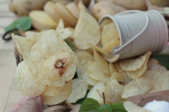 Crispy potato chips with salt and fresh potatoes.