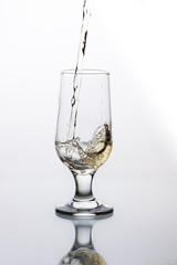 Champagne Splash