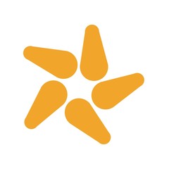 Star vector design
