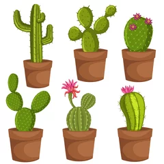 Photo sur Aluminium Cactus en pot Cactus de dessin animé nature plante du désert vert