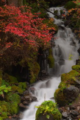 高原の滝