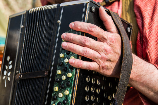 The hand of an unidentified, unrecognizable accordionist, bayani