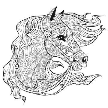 Hand drawn doodle horse face page. Animal head. Illustration for adult coloring book.