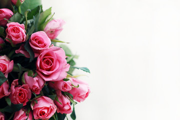 Obraz na płótnie Canvas bouquet of pink roses on white