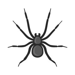 Black Spider Icon on White Background. Vector