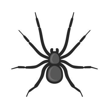 Black Spider Icon On White Background. Vector