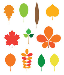 Fall leaves. Maple, oak, chestnut leaves. Vector