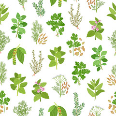 Herbs and spices seamless pattern