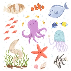 Wall murals Sea life Marine life