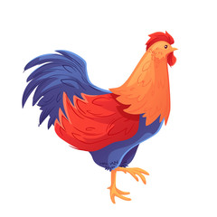 Full body of colorful rooster, cartoon vector illustration isolated on white background. Side view ofbright and colorful rooster, walking on white background