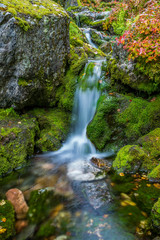 Small waterfall in autumnal forest © frozenmost
