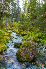 Wild stream flowing in autumnal forest