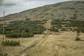 Fototapeta na wymiar Riesengebirge Krkonoše