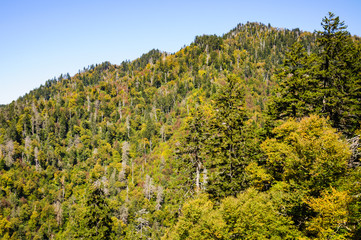 Great Smoky Mountains National Park