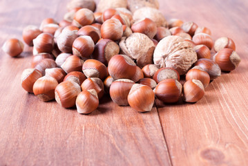 Hazelnuts and walnuts on wooden background. Focus on the foreground