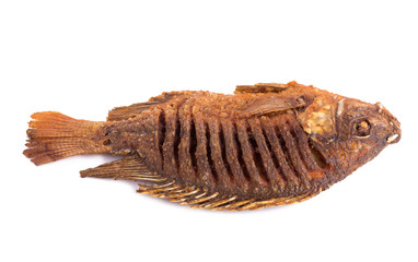 Deep Fried Tilapia Fish with salt on white background