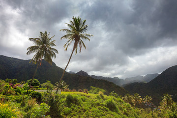Fototapeta na wymiar Storm clouds and palm trees over mountains of Caribbean island. Soufriere, St Lucia.