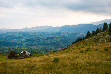 Panorama of Romanian Carpathians