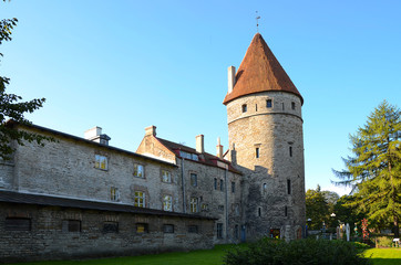 Medieval Tower of city wall (Tallinna Linnamüür) in Old Town of Tallinn, Estonia.