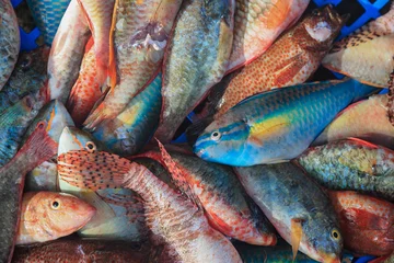 Gordijnen Fish Market in the Caribbean © V. J. Matthew