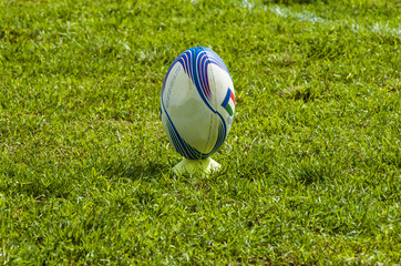 Rugby ball at green grass. Photo taken at rugby match