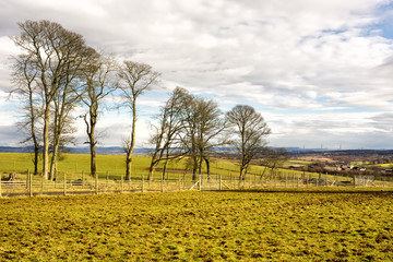 Farmland in West Lothian, Scotland