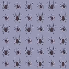 vector background of hand-drawn spiders