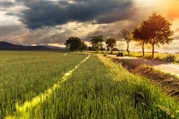 Fototapeta premium Rural landscape with clouds, evening sun and car on road.
