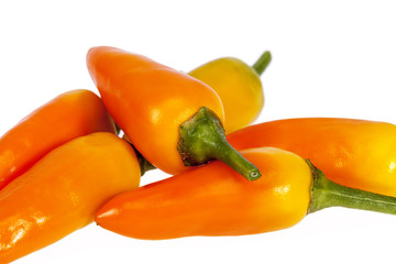 Composition of colorful decoration peppers on white background