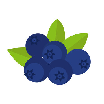 Flat icon blueberries with leaves. Vector illustration.